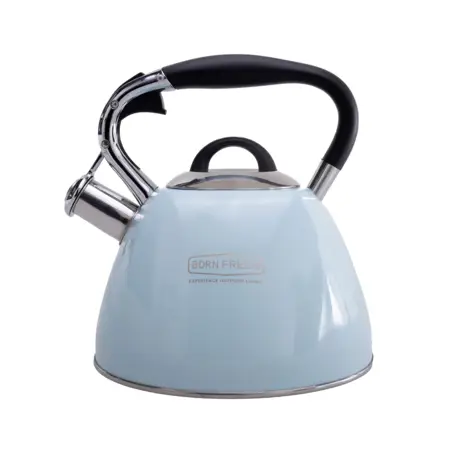 Stove-top Whistling Kettle - Blue
